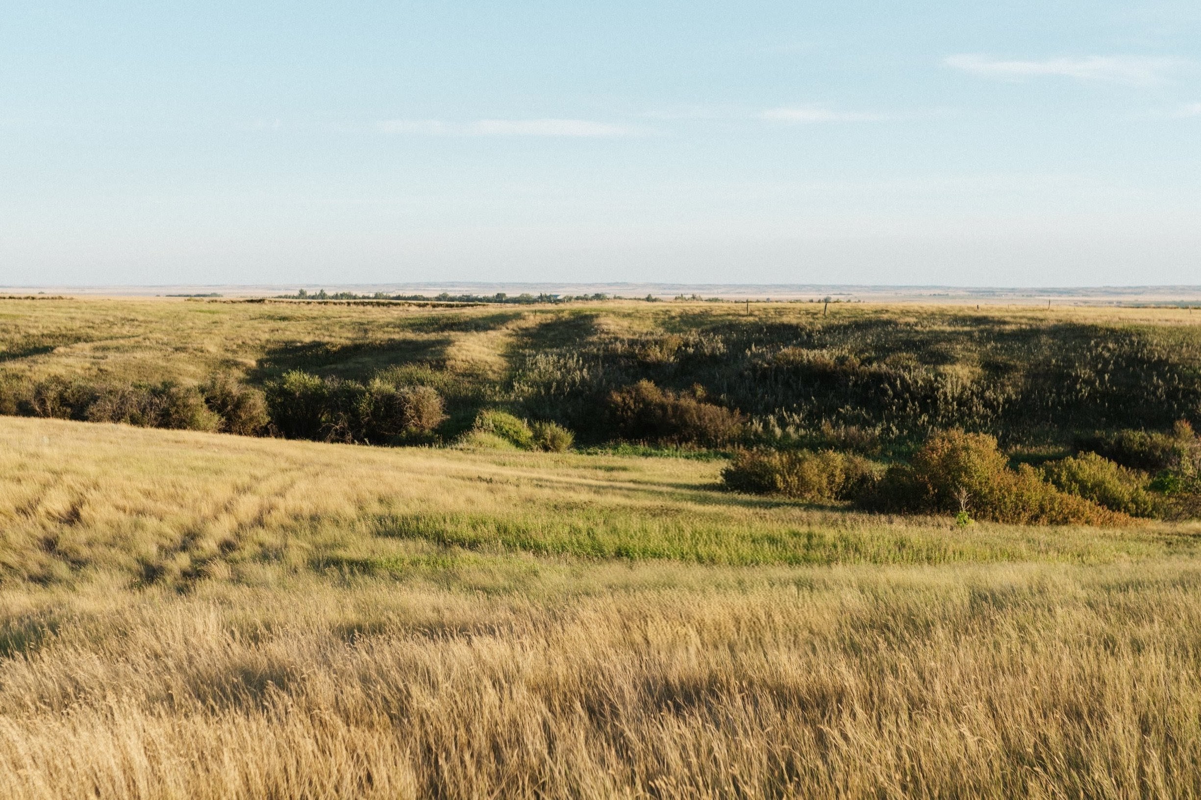Prairie landscape near Caronport, Saskatchewan